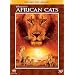 Disneynature: African Cats (DVD/Blu-ray Combo in DVD Packaging)
