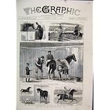 1880 のスケッチの Islington の馬ショーのアラビアの跳躍の口うるさい人