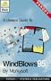 Useless Guide to Windblows95
