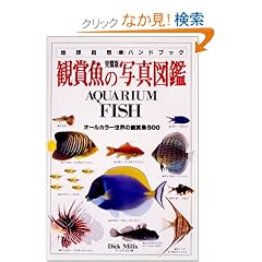 ������ �Ϗ܋��̎ʐ^�}�Ӂ\�I�[���J���[���E�̊Ϗ܋�500 (�n�����R�n���h�u�b�N)