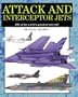 Attack and Interceptor Jets: 300 of the World's Greatest Aircraft (Amber Military Series)