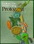 Explore the World Using Protozoa