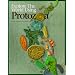 Explore the World Using Protozoa