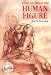 How to Draw the Human Figure (Watson-Guptill Artist's Library)