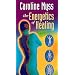 The Energetics of Healing: Part 1 & 2 (Energy Medicine) [VHS]