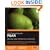 PHP Programming with PEAR: XML, Data, Dates, Web Services, and Web APIs