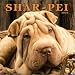 Shar-Pei 2004 Calendar