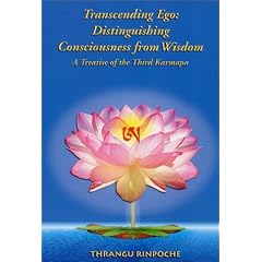 Transcending Ego: Distinguishing Consciousness from Wisdom