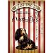愛犬と楽しく遊ぶ「犬の芸講座」 [DVD]