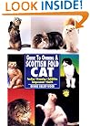 Guide to Owning a Scottish Fold Cat