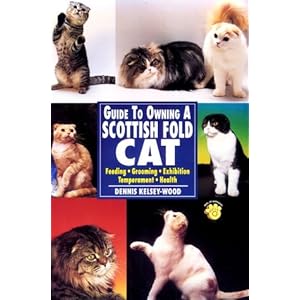 Guide to Owning a Scottish Fold Cat