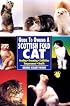 Guide to Owning a Scottish Fold Cat