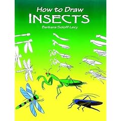 How to Draw Insects (How to Draw (Dover))