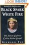 Black Spark, White Fire: Did African Explorers Civilize Ancient Europe?