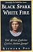 Black Spark, White Fire: Did African Explorers Civilize Ancient Europe?