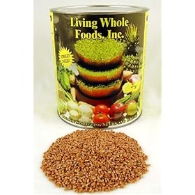Organic Hard Red Wheat Seed- 5 Lbs- Plant & Grow Wheatgrass, Grind to Make Flour & Bread, Emergency Food Storage Seeds