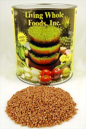 5 Lbs -Certified Organic Hard Red Wheat Seed - 5 pound oxygen free can - Plant & Grow... by Gourmet Food Store