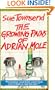 The Growing Pains of Adrian Mole