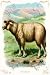 Art Poster, The Sheep - 18.75 x 27.5