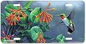 Hummingbird and Honeysuckle - Birds - Wildlife Art Print - License Plate Tag By Hautman Brothers From Airstrike