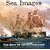 Sea Images - the Best of David Fanshawe