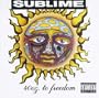 40 Oz to Freedom