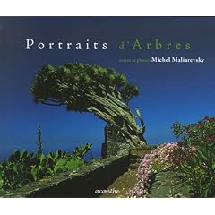 Portraits d'Arbres