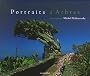 Portraits d'Arbres