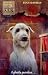 Dog in the Dungeon