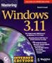 Mastering Windows 3.11: Internet