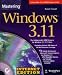 Mastering Windows 3.11: Internet