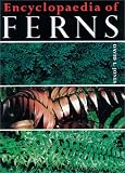  : Encyclopaedia of Ferns