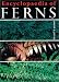 Book Encyclopaedia of Ferns