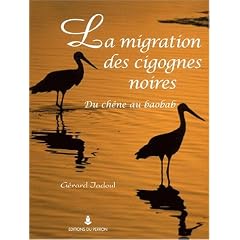 La migration des cigognes noires