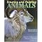 Books to help experienced realist oil painters improve their painting!