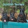Scottish Terriers 2007 Calendar