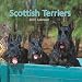 Scottish Terriers 2007 Calendar
