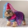 SMALL - Little Princess Dog Costume