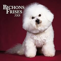 Bichons Frises 2001 Calendar