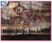 Book Bosigo Jo BO Lefifi (Children's Stories)