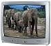 Toshiba 19A24 19" CRT Color TV (Silver)