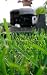 Lawn Care for Beginners: How to Give Your Yard Professional-Level Lawn Care, Without Hiring a Professional