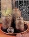 Set of 3 Round Covered Jars in Brown Finish