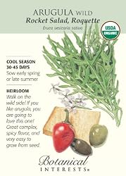 Arugula Certified Organic Heirloom Seeds 200 Seeds
