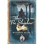 The Poe Shadow