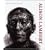 Alison Lambert, the Human Image