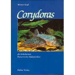 Corydoras, die beliebtesten Panzerwelse S�damerikas