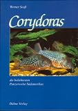 Corydoras, die beliebtesten Panzerwelse S�damerikas