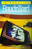 Introducing Baudrillard (Introducing...)