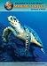 Top 50 Reasons to Care about Marine Turtles: Animals in Peril (Top 50 Reasons to Care about Endangered Animals)